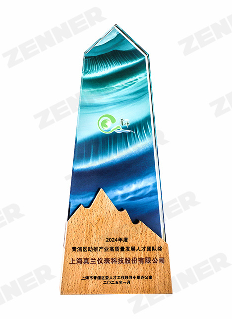 24年度青浦区助推产业高质量发展人才团队奖.jpg
